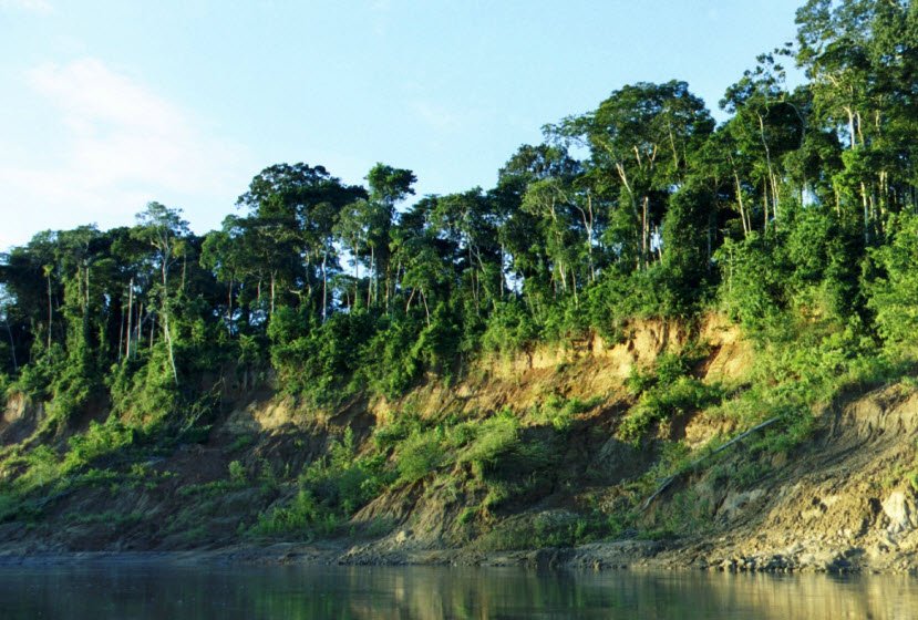 Manu National Park, Cusco/Madre de Dios Region, Peru